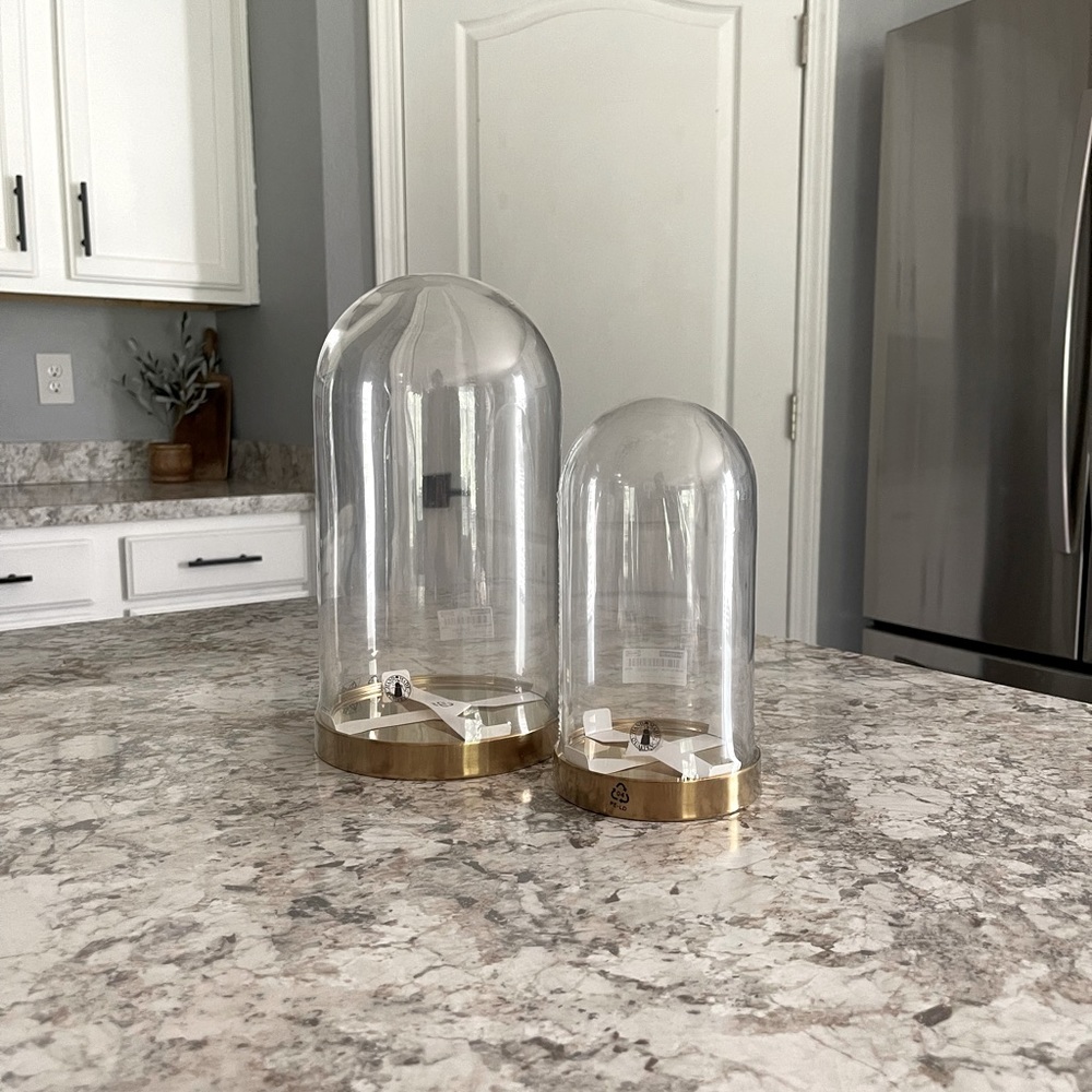 Glass Cloches
